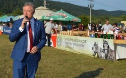 XI Galicyjski Konkurs Powożenia Zaprzęgami Konnymi, Ujanowice 28.07.2019r.